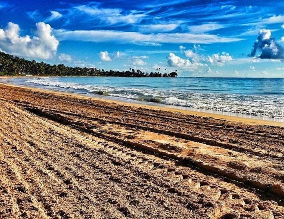 Park Royal Homestay Club Cala Puerto Rico ウマカオ エクステリア 写真