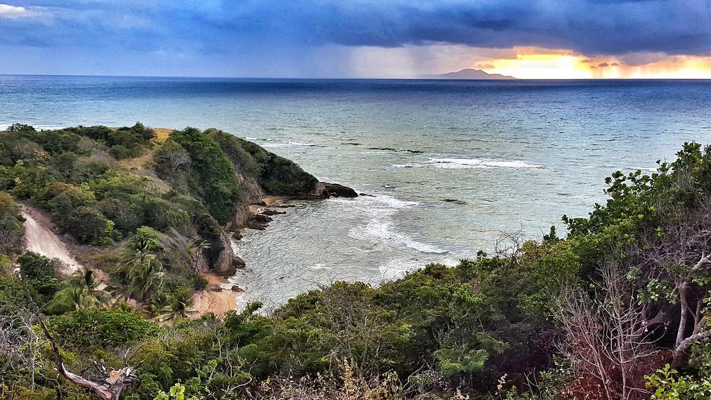 Park Royal Homestay Club Cala Puerto Rico ウマカオ エクステリア 写真