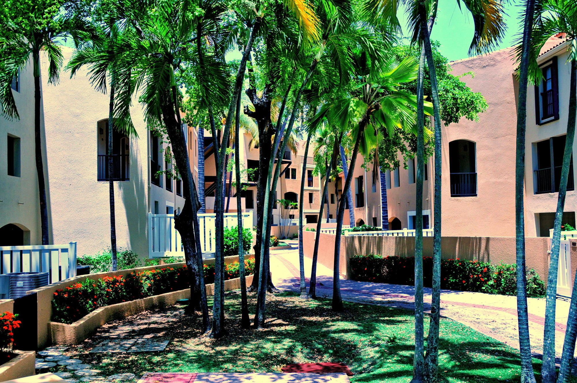 Park Royal Homestay Club Cala Puerto Rico ウマカオ エクステリア 写真