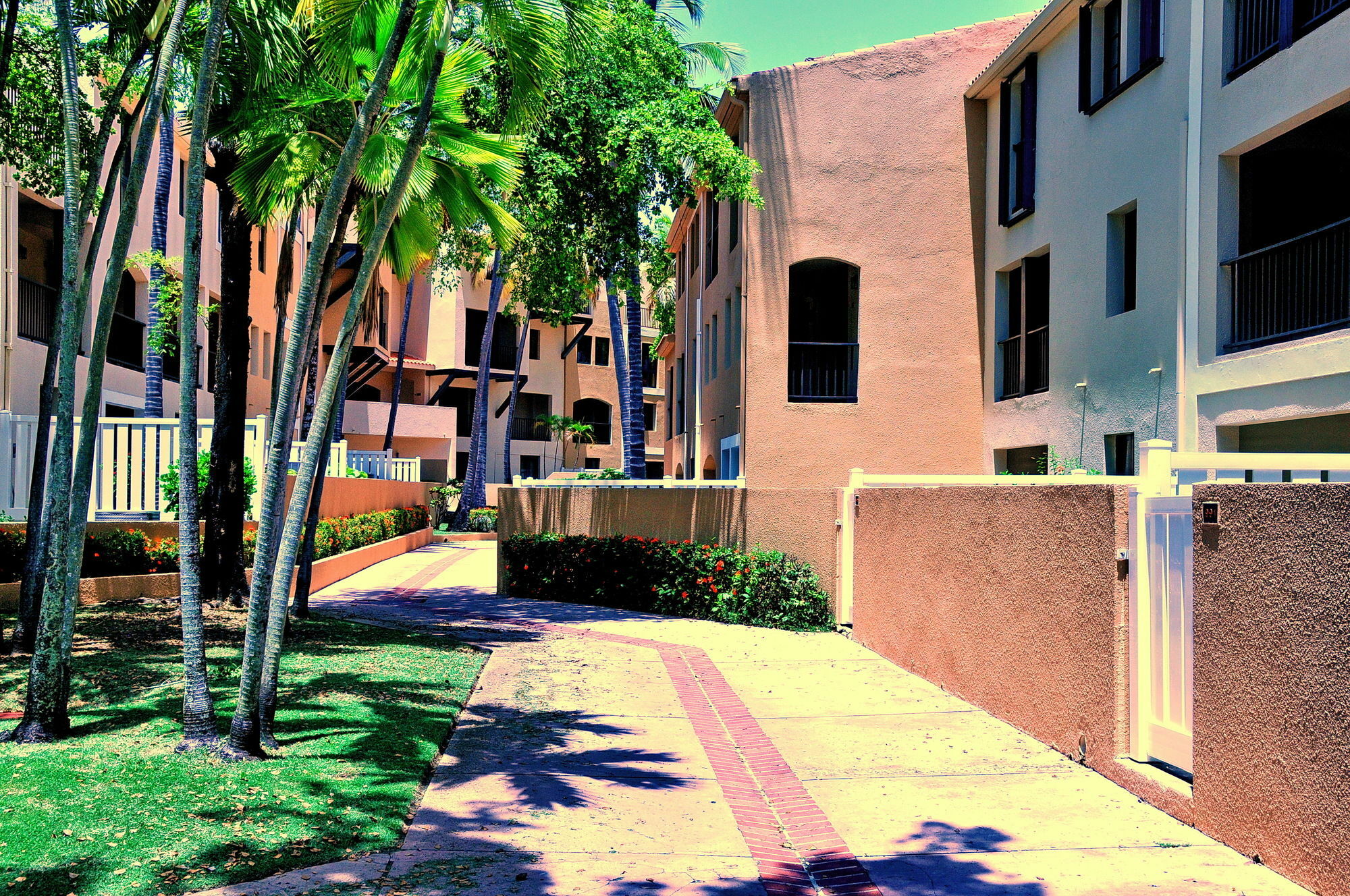Park Royal Homestay Club Cala Puerto Rico ウマカオ エクステリア 写真